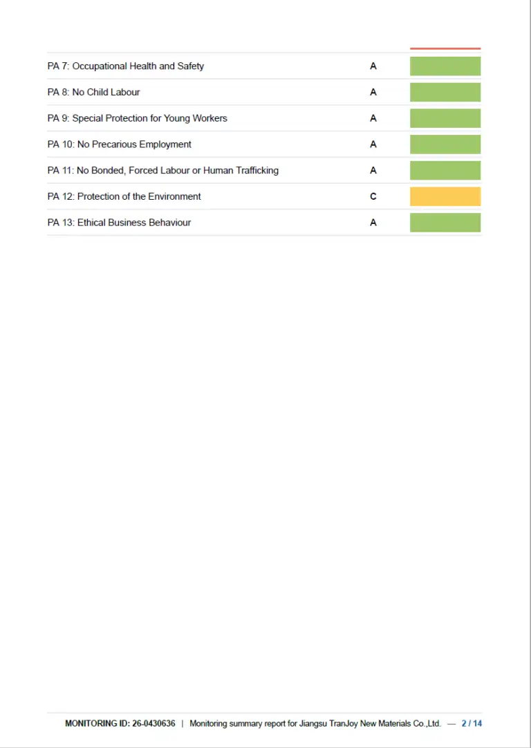 amfori BSCI Social Audit Report for tranjoy-2